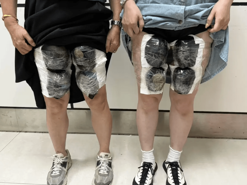 大妈走私团宽松裙子下暗藏濒危活龟。 海关发布