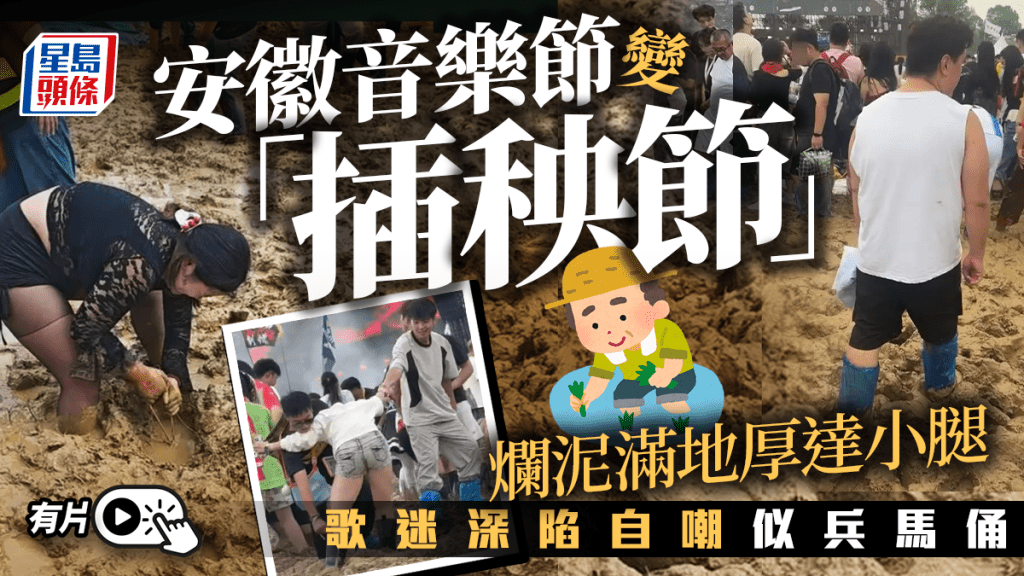 安徽音樂節泥濘滿地 歌迷嘲現場變「插秧節」