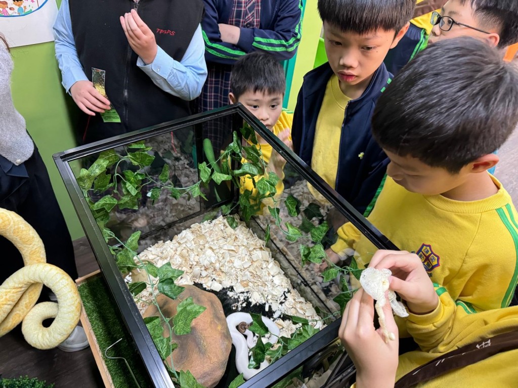 球蟒蛇信信（圖片來源：受訪學校提供）