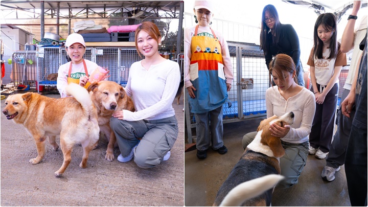 黃淑蔓與Fans「大樹下」替毛孩梳毛餵食 被狗狗奪去「螢幕初吻」  