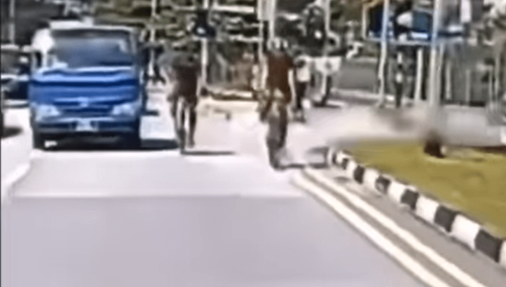 该单车手伸手敲击该货车的倒后镜。影片截图