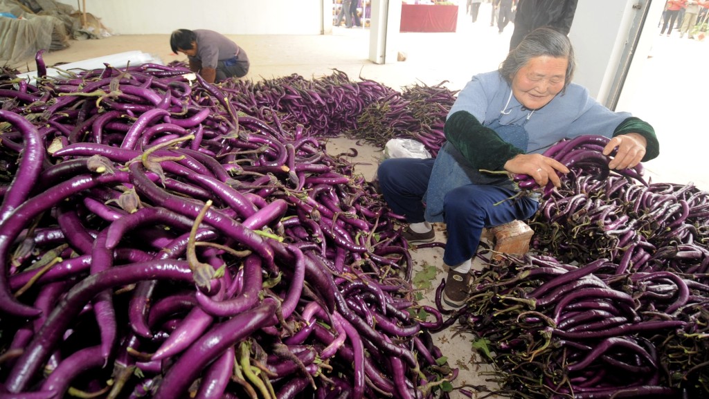 据说小朋友挑食对象头3名包括茄子。 新华社