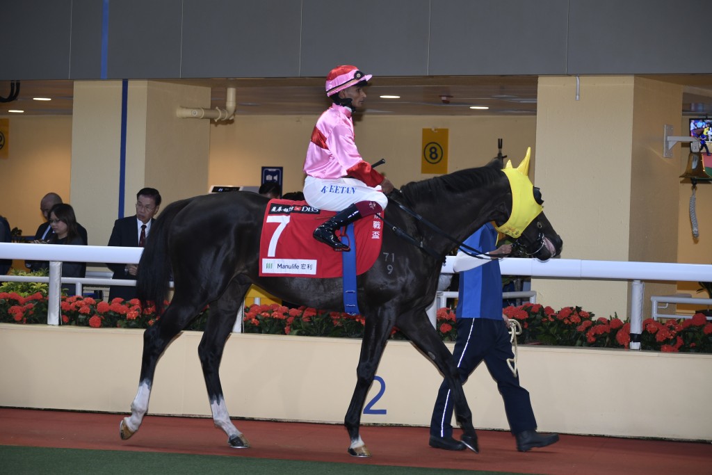 「中華英雄」由吳嵩親自培育，在港已經累積四場頭馬。