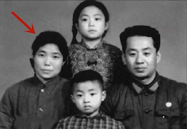 金星出生在瀋陽的一個朝鮮族家庭，爸爸是一名軍人，媽媽則是名孤兒。