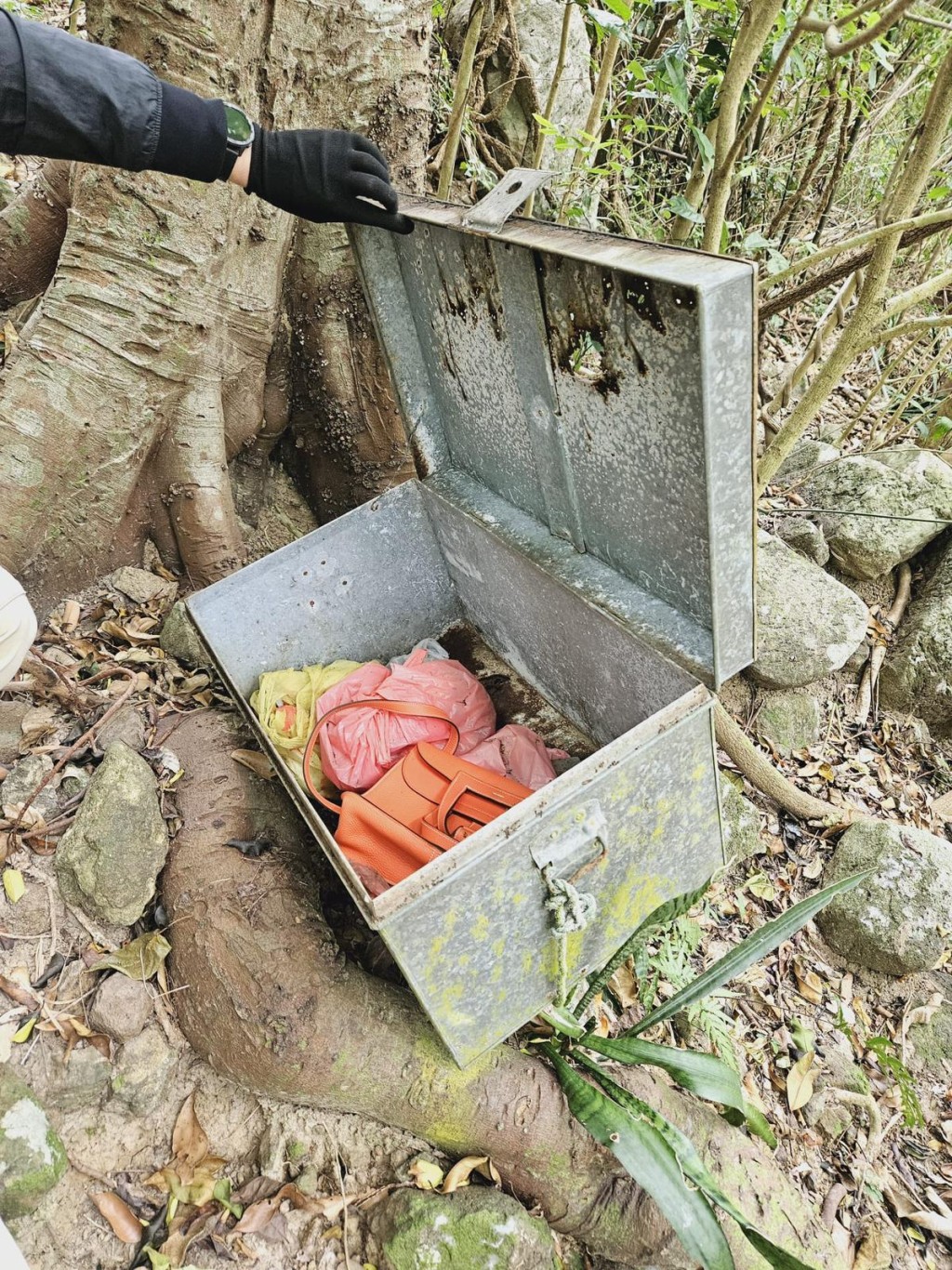 警方於近將軍澳村後山坡一個棄置鐵箱內檢獲一個手袋。警方提供