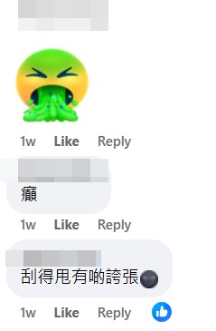 網民：刮得甩有啲誇張。fb「真.屯門友」截圖