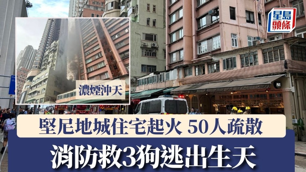 堅尼地城住宅起火濃煙沖天 50人疏散 消防救3狗逃出生天
