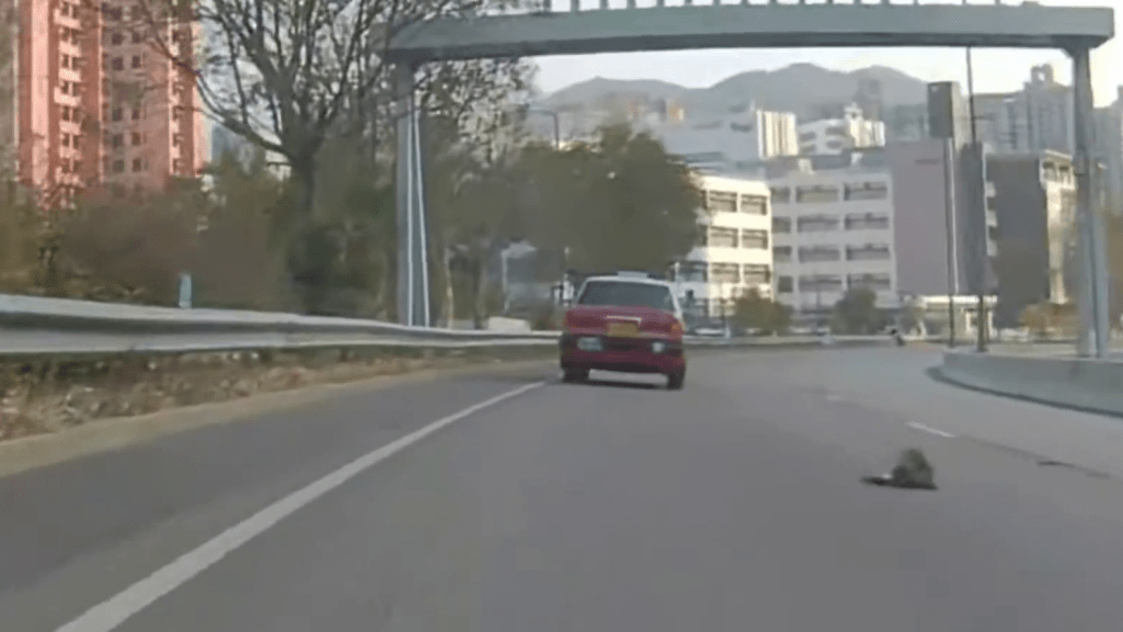 網上片段顯示鐵騎士懷疑撞雀後再失控撞欄。