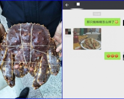 胡大媽看見皇帝蟹後，竟誤當成大蜘蛛，報警求助。（網上圖片）