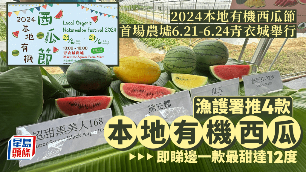 本地有機西瓜節6.21至6.24青衣城舉行 即睇4款漁護署推薦有機品種甜度及味道