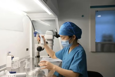 胚胎师正在准备培养解冻后胚胎的培养皿。