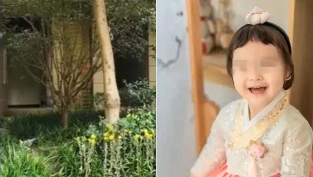 杭州保姆獨留2歲童女兒家致其墮樓亡,事件曾轟動一時。