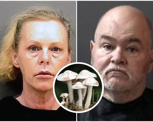 警方在死者妻子(左)的手機中,找到有關毒菇搜尋紀錄,又發現其家族好友協助殺人。網圖
