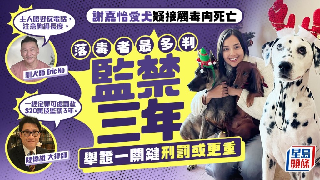 謝嘉怡愛犬疑遭毒死  落毒者最多判監三年？ 大律師指舉證一關鍵刑罰或更重