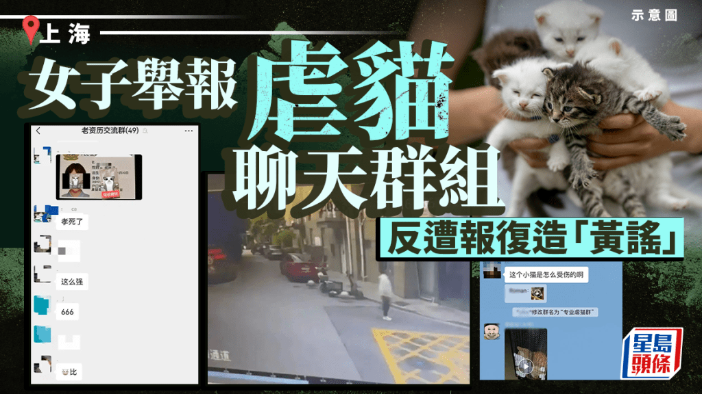 上海女子舉報虐貓群聊 遭起底造黃謠報復