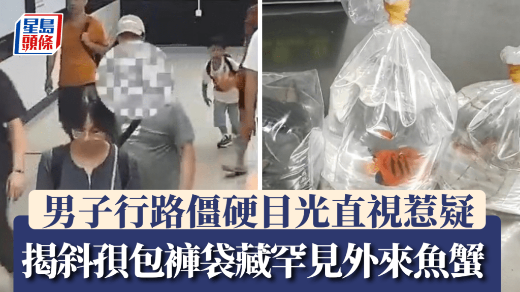 羅湖口岸男子神色緊張步姿僵硬惹疑 ，挎包褲袋藏罕見外來魚蟹被捕。