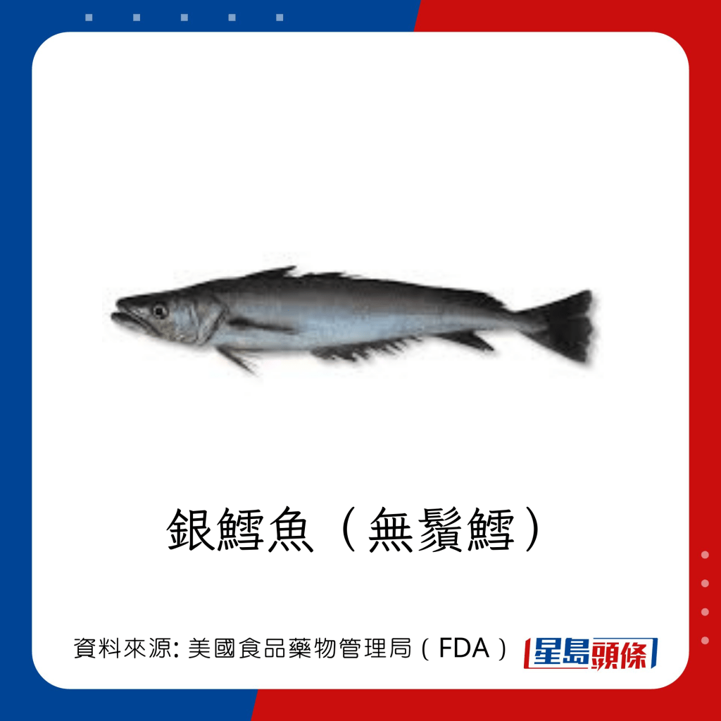 低水銀魚類 銀鱈魚（無鬚鱈）