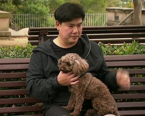 被害男子與其同時遭暴力對待的愛犬Zico。網圖
