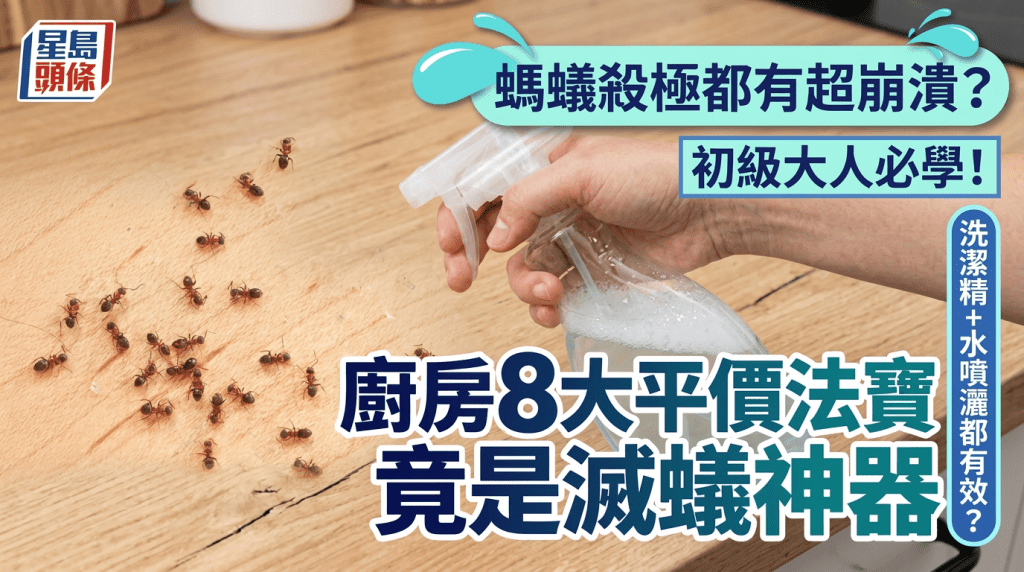 P:\_Exchange\_keyframe\20260703\_health\20260703_health_Ant