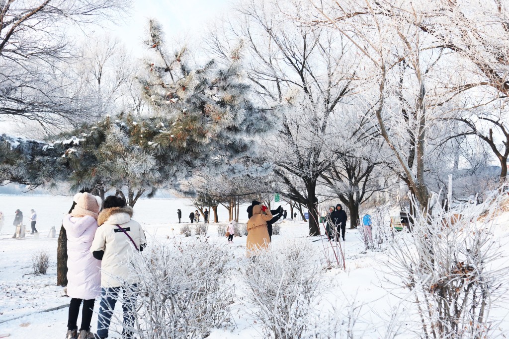 東北正積極推動冰雪旅遊、冰雪運動、冰雪文化。中新社