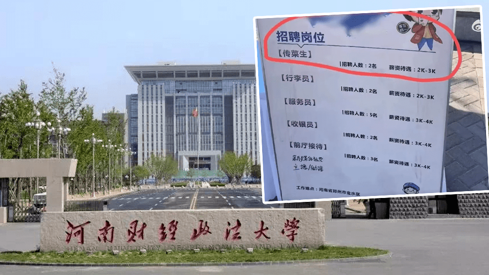 河南多家酒店到大學招洗碗工,引發熱議。