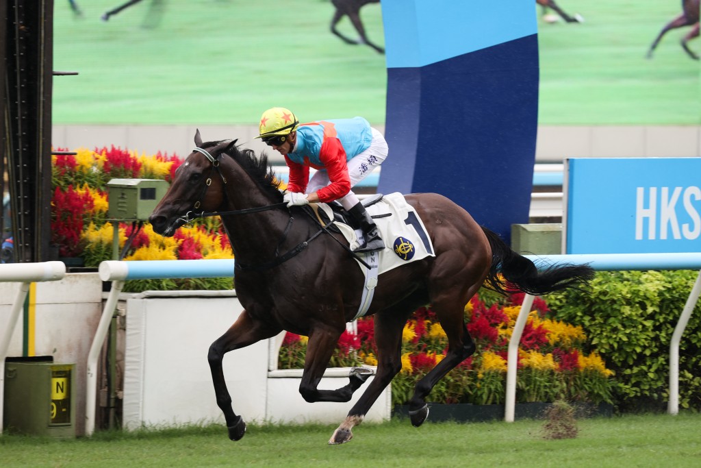 「嘉應高昇」將以11月23日舉行的二級賽中銀香港私人銀行馬會短途錦標(1200米)為下一個目標,力爭染指高達五百三十五萬港元的總獎金。 「嘉應高昇」將以11月23日舉行的二級賽中銀香港私人銀行馬會短途錦標(1200米)為下一個目標,力爭染指高達五百三十五萬港元的總獎金。