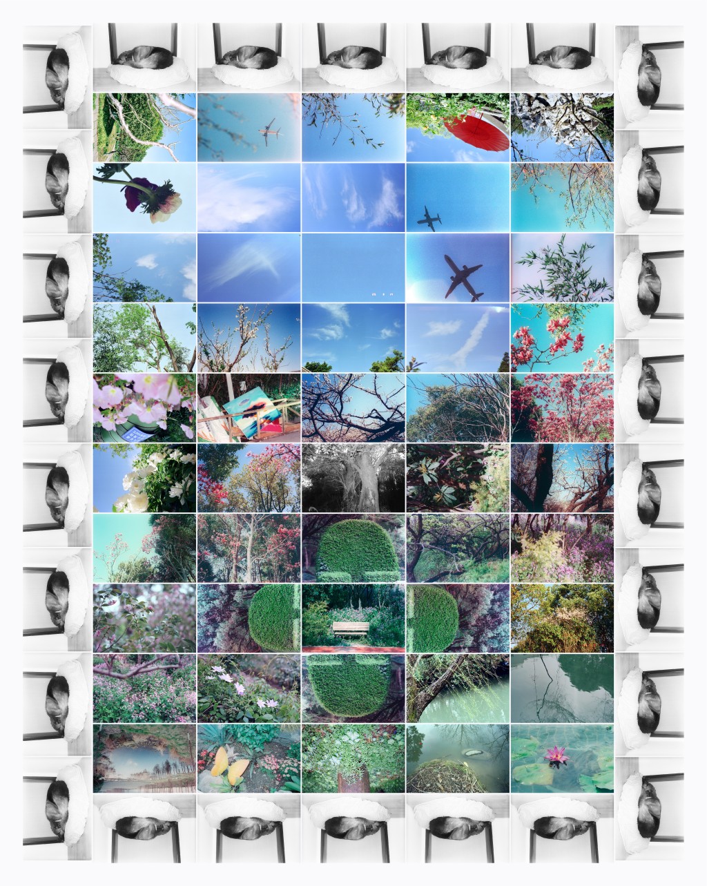 中國藝術家組合鳥頭的作品《種子》，採用攝影矩陣和裝裱技術創作。（2025年）