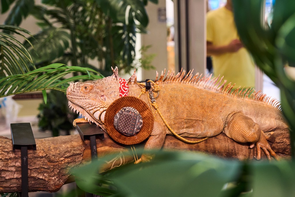 合和商場將中庭變身成「另類寵物世界Exotic Pets World」，舉辦兩棲爬蟲寵物互動教育展。