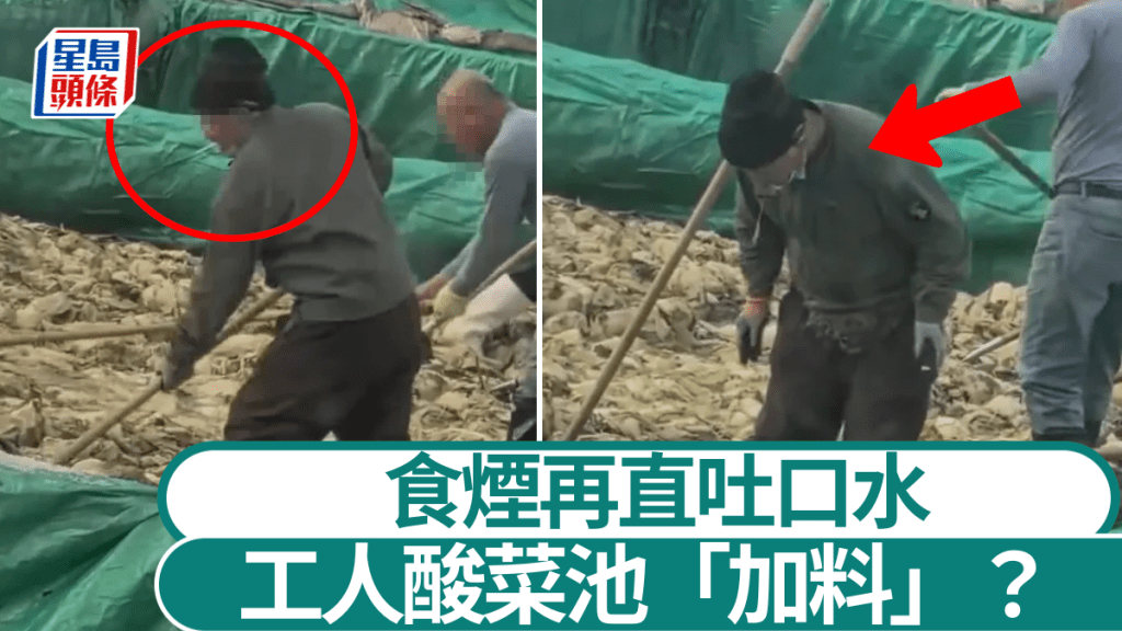工人在酸菜池邊吸煙和吐口水。大風新聞