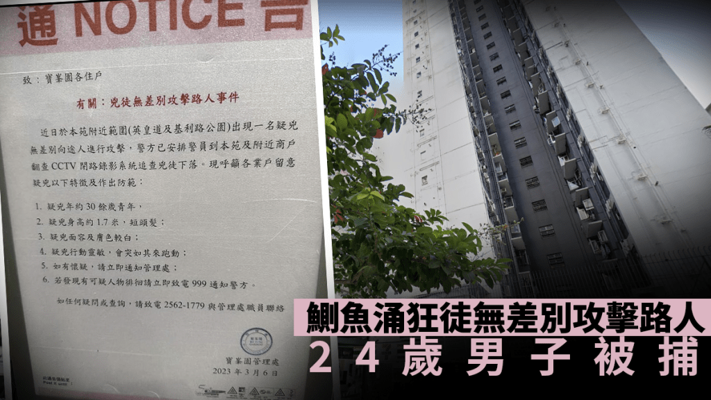 鰂魚涌上周末一連兩日發生襲擊案。