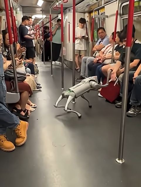 去年港鐵範圍內出現機械狗。資料圖片
