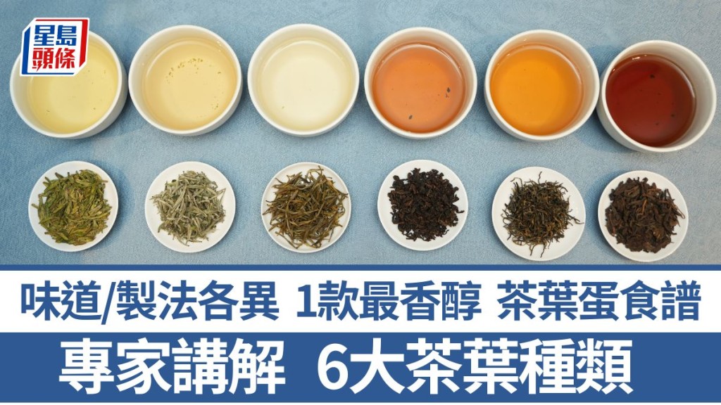 6大茶系｜專家講解6大茶葉種類 1款最香醇 味道/製法各異 綠茶/白茶/黃茶/青茶/紅茶/黑茶