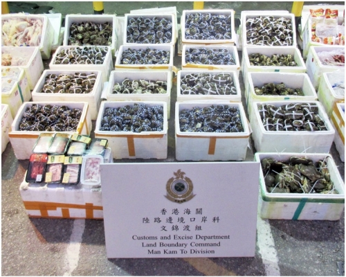 在文錦渡管制站檢獲的懷疑走私大閘蟹和冷凍食品。
