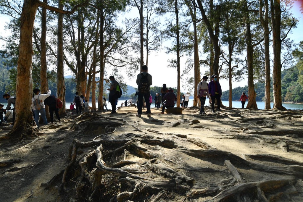 郊野公園人潮湧現。