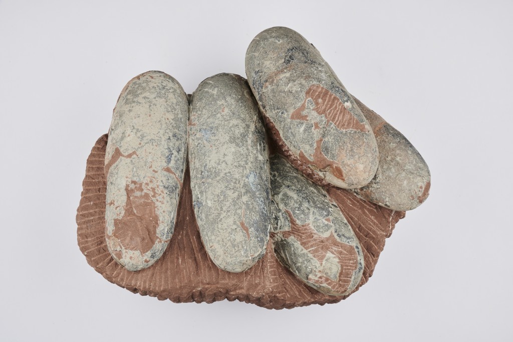 7000万年前白垩纪晚期的长形恐龙蛋，将会于更换展品后展出。