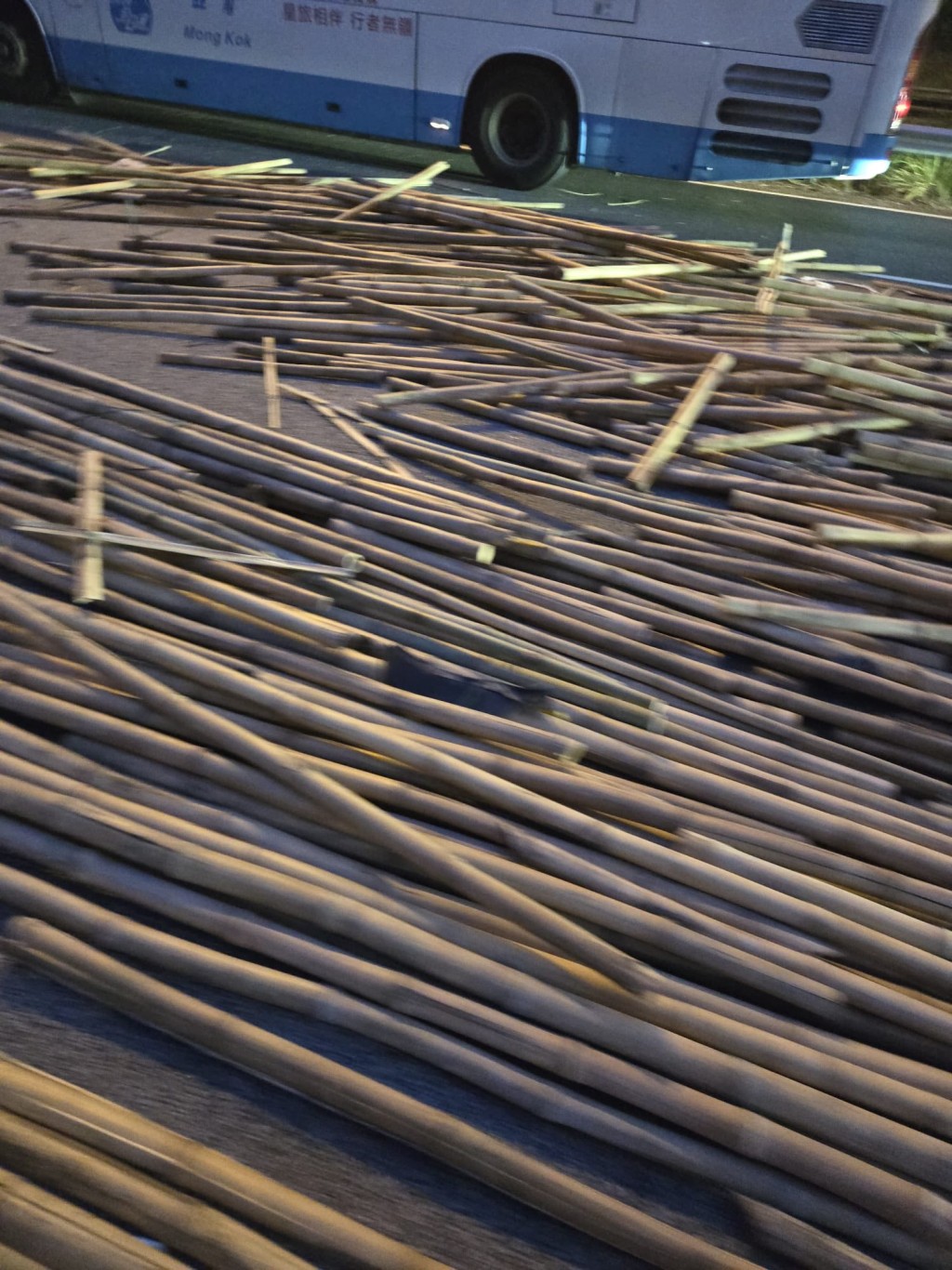 大量竹枝散落青朗公路。網上圖片 大量竹枝散落青朗公路。網上圖片