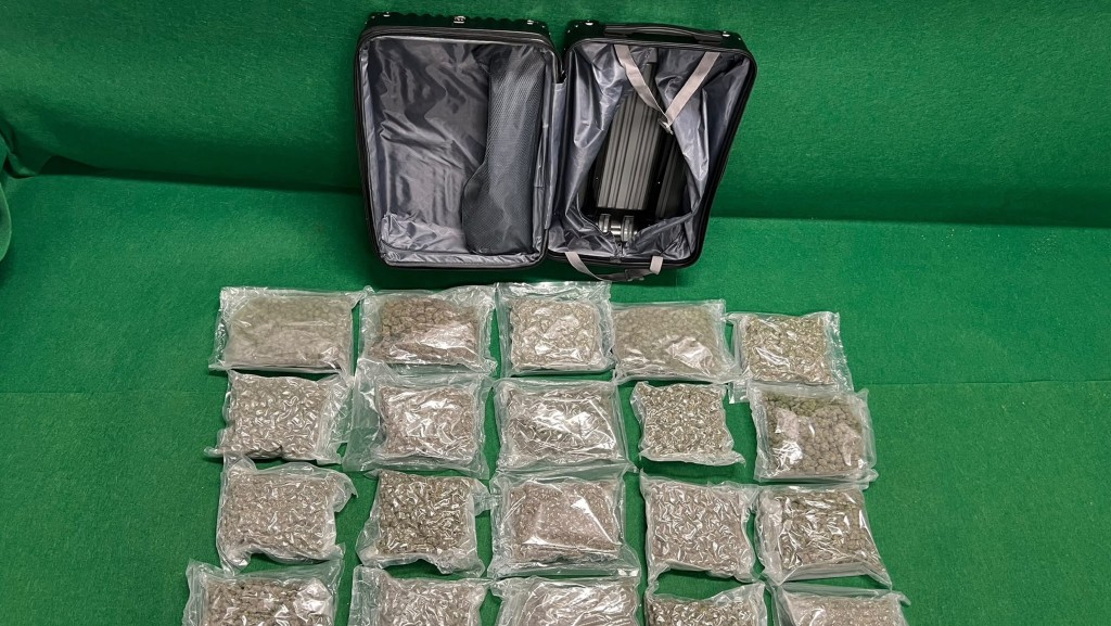 海關拘馬尼拉及曼谷抵港兩內地男 檢百萬元大麻花