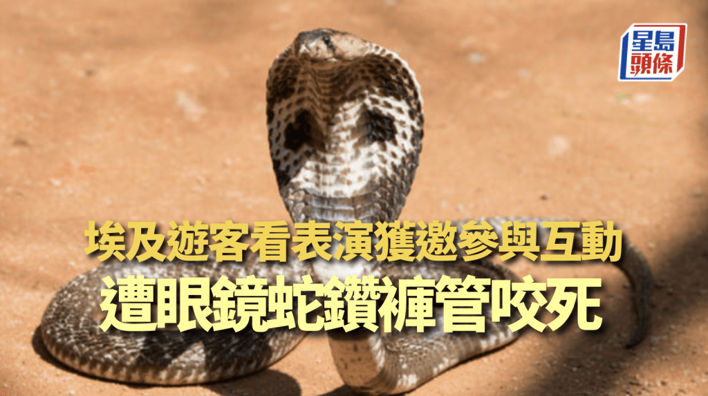 Alamy 示意圖