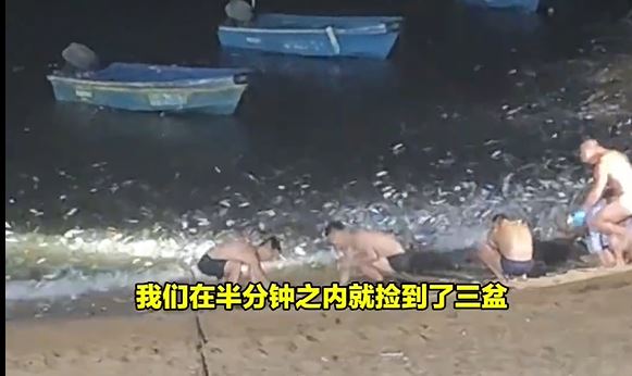 遊客拿盆撈魚。