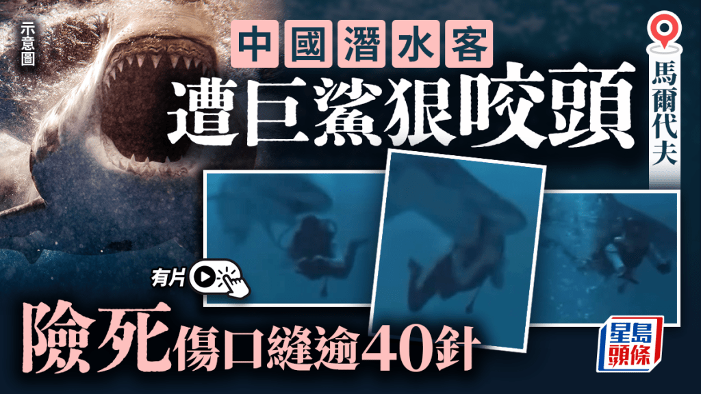 馬爾代夫巨鯊發惡施襲 中國潛水客險死傷口縫逾40針︱有片