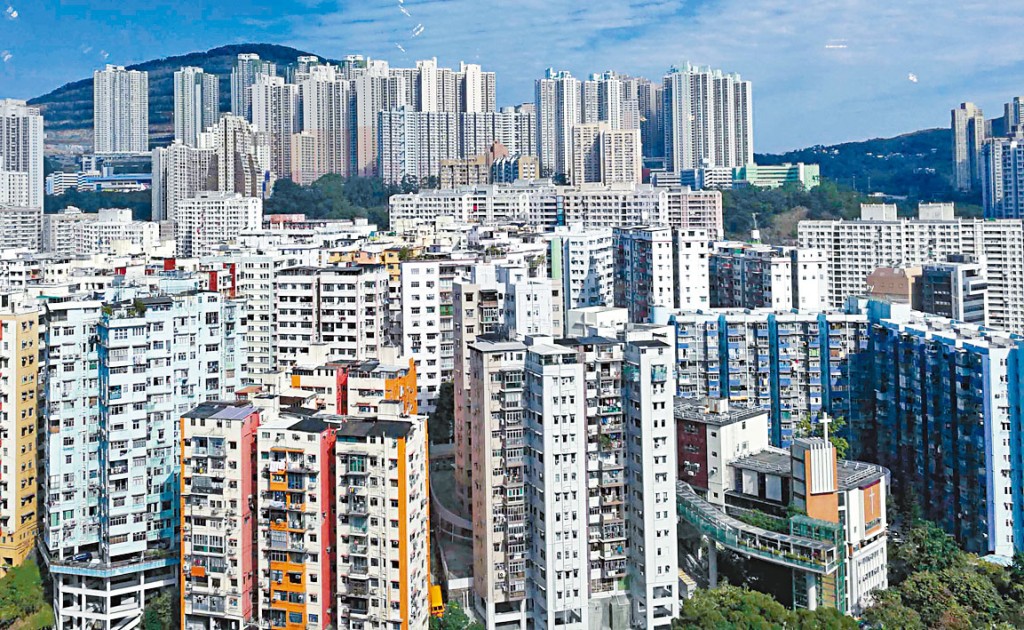 莊太量表示,擔心資金流入香港後再走資外國,所以需要完善的機制。 莊太量表示,擔心資金流入香港後再走資外國,所以需要完善的機制。