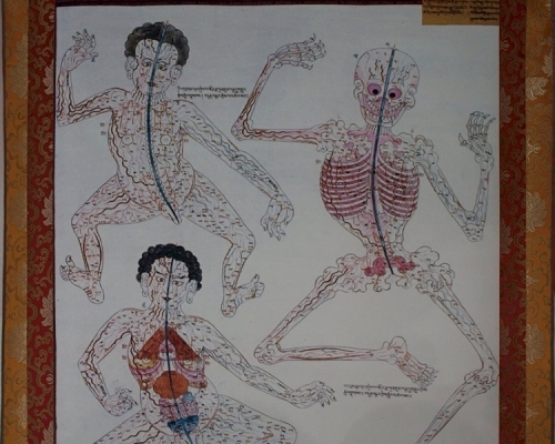 传统藏医学挂图。网图