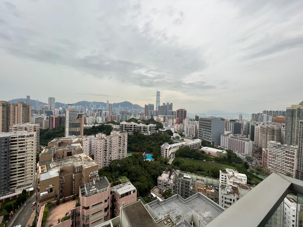 单位可眺望开阔市景，远眺维港烟花景。