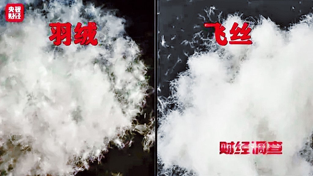 「羽絨」與「飛絲」對比圖。
