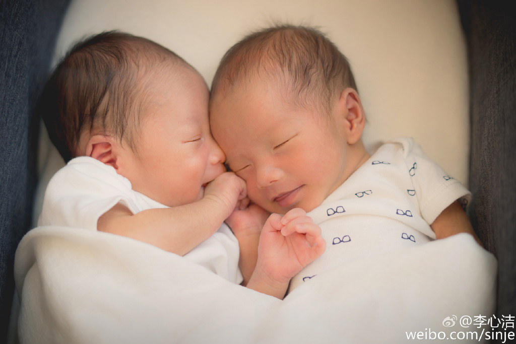 2016年7月8日，李心潔在馬來西亞吉隆坡誕下一對雙胞胎兒子。