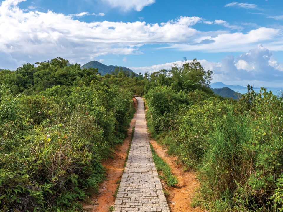 自然徑指示清晰，沿途都是石級和樹蔭，設施齊全