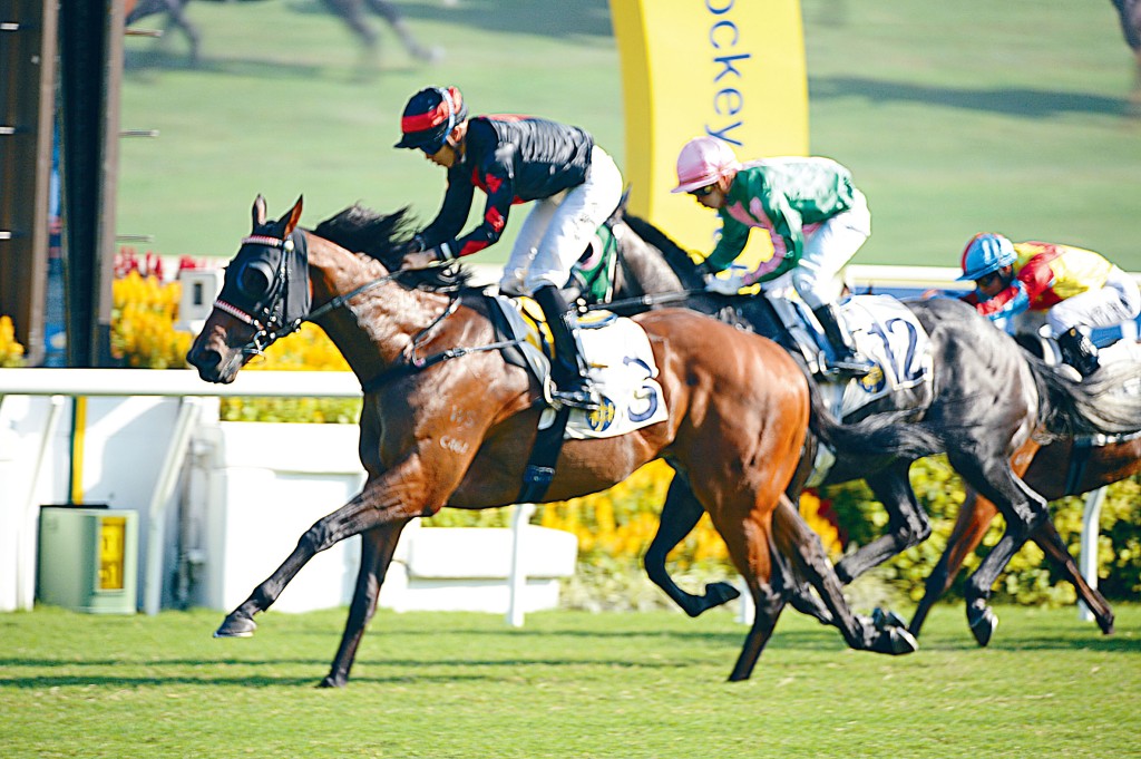 何澤堯為姚本輝勝出「自然力量」，騎練都起孖。