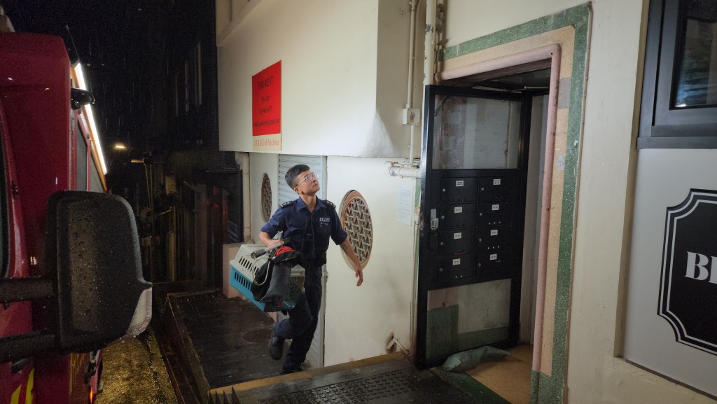 愛協到場協助拯救。黎志偉攝