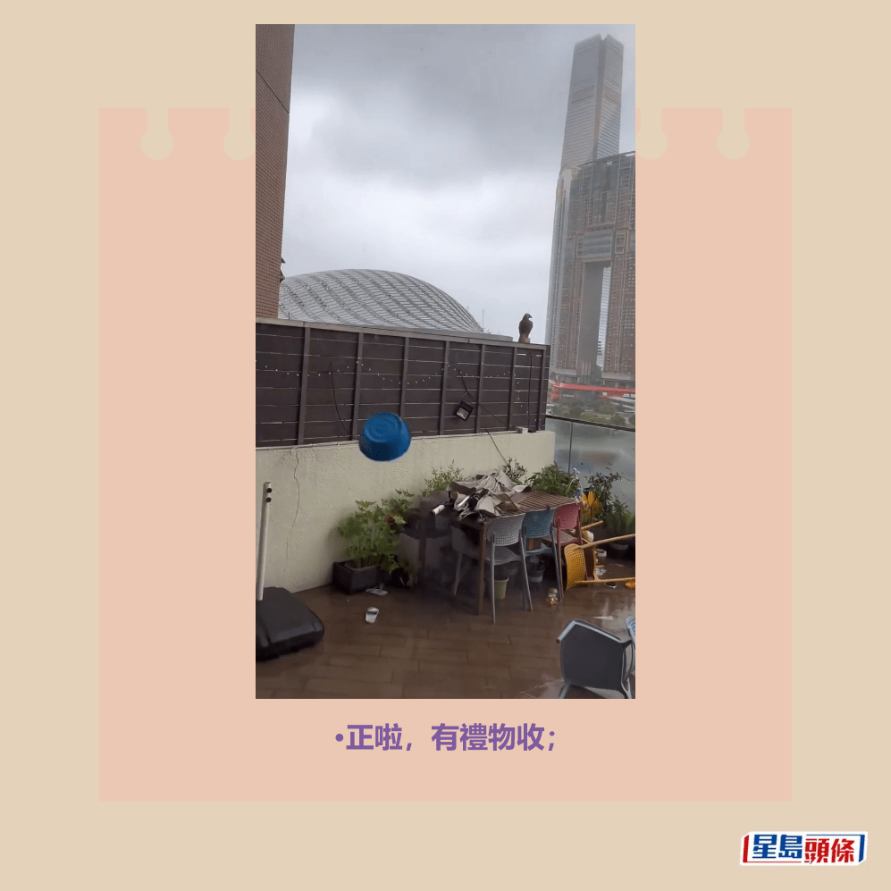 •正啦，有禮物收；Threads截圖