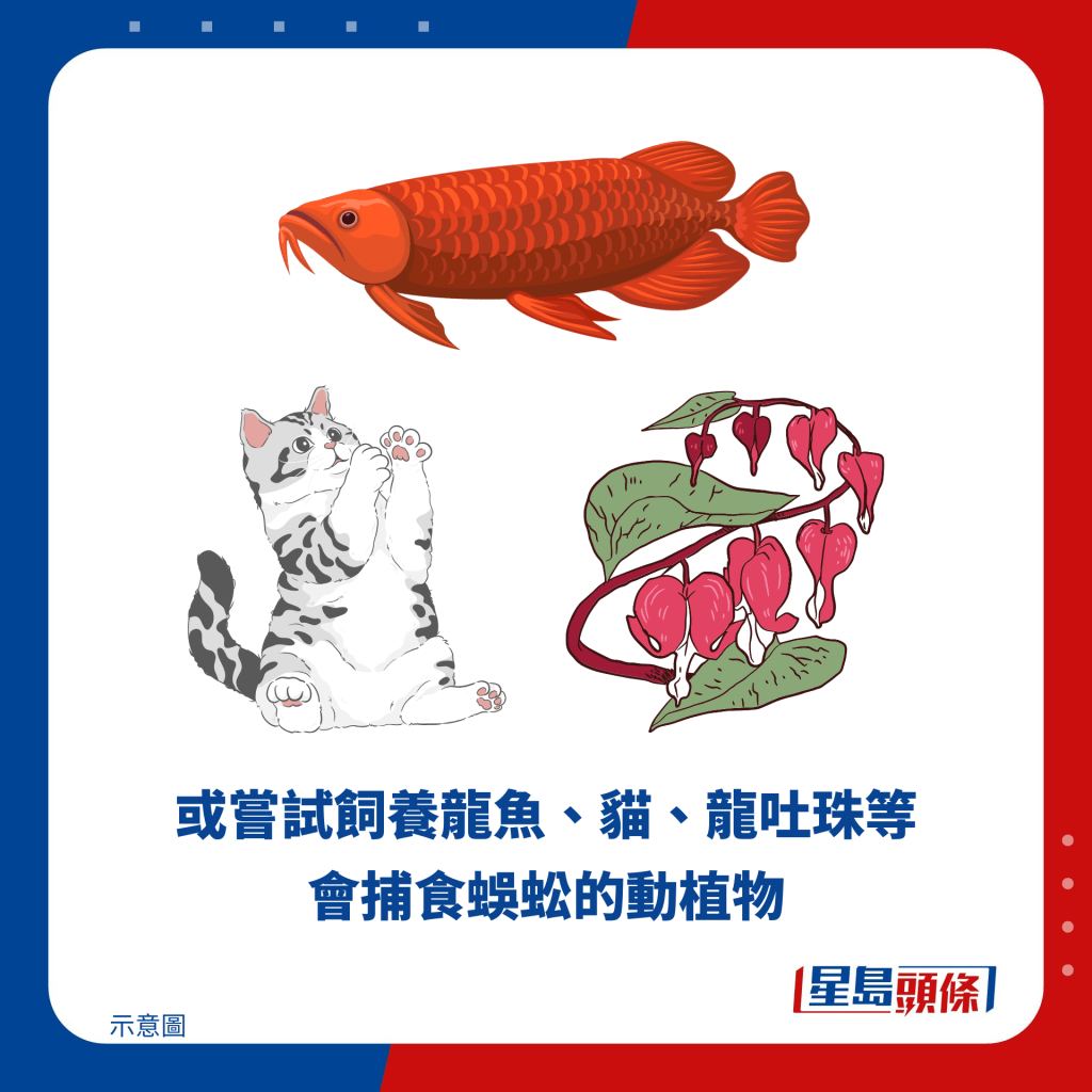 或嘗試飼養龍魚、貓、龍吐珠等會捕食蜈蚣的動植物